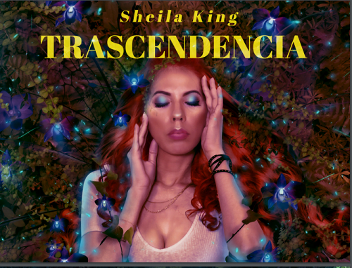 Trascendencia se compone de 9 temas que comienzan con el tema del título Trascendencia a Latin - Reggae - Dancehall fusión con Notch.